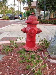 2007-05-02 (66)